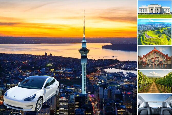 Guided Snorkeling and Island Exploration in Auckland - Weather and Comfort: How to Avoid a Wasted Day