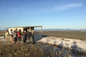 Guided Tour at Pukorokoro Shorebird Centre - Understanding the estuary: geology and ecosystem clues