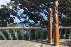 Half-Day Volcano Tour from Auckland - The Morning Start: Pickup, Timing, and What That Buys You