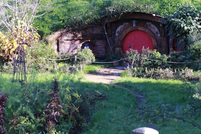 Hobbiton and Waitomo Caves from Auckland - Smaller Group - Waitomo Glow-worm Caves: a guided look at bioluminescent light