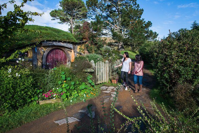 Hobbiton Movie Set Group Tour Early Access (Avoid the crowds!) - The Auckland to Matamata ride: comfort, WiFi, and real time on the road