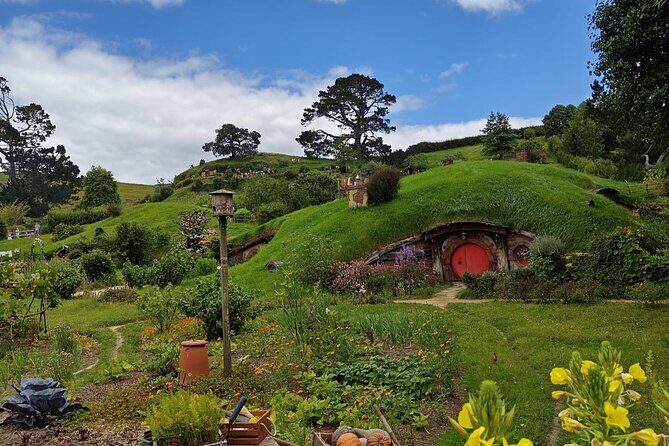 Hobbiton Movie Set Guided Day Tour with Lunch from Auckland - Picnic lunch in the Shire: included food without decision fatigue