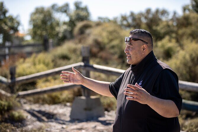 Hobbiton & Rotorua Small Group Tour including Te Puia from Auckland - Auckland to the Shire: The long-drive reality
