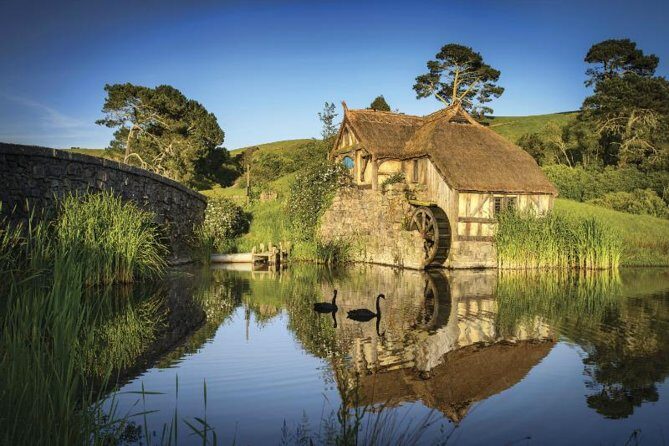 Hobbiton & Waitomo Caves Guided Day Trip from Auckland incl lunch - Getting to Matamata: the scenic drive you actually get