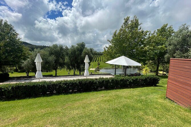 Kumeu Wine Tour - Soljans Estate Winery: family-run Kumeu style and a strong start