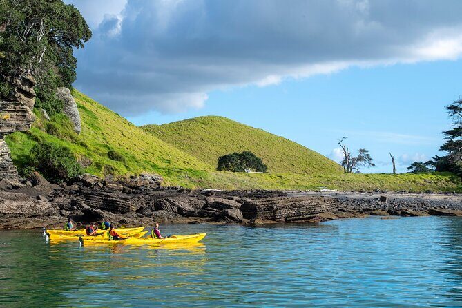 Motukorea / Browns Island Sea Kayak Journey - Starting from central Auckland: pickup, timing, and the small-group vibe