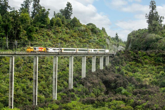 Northern Explorer Train Journey from Auckland to Wellington - From Auckland departure to Waikato views: rolling green and small-town rhythm