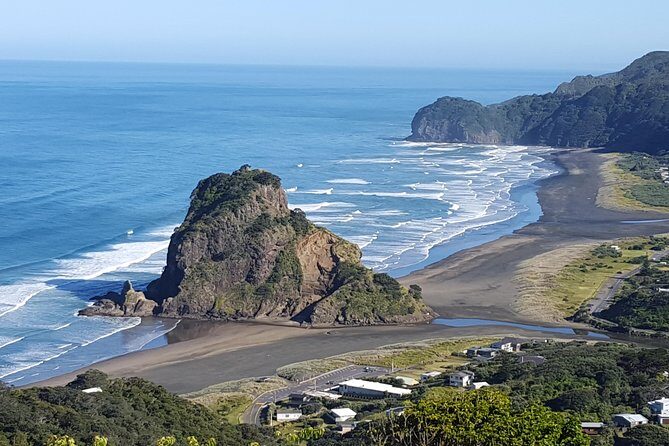 Piha Beach & Wilderness Nature : PRIVATE TOUR 8 hrs - Price and What You’re Actually Paying For