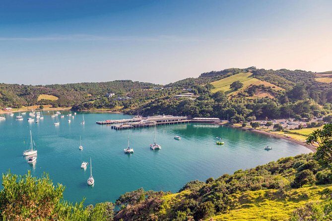 Piha Waitakere Rainforest Wine Tour from Auckland - The Guide Layer: Why John McFarlane’s Style Keeps Coming Up