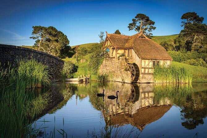 Private 2 Day Tour: Hobbiton, Waitomo, Rotorua Geothermal & Hamilton Gardens - Day 1: Waitomo Glowworm Caves by boat (what makes it special)