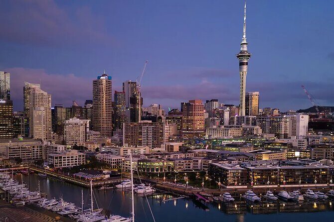 Private Auckland Airport Transfer to/from Auckland Hotels - Van - Private Auckland Airport Van Transfer: What You’re Actually Buying
