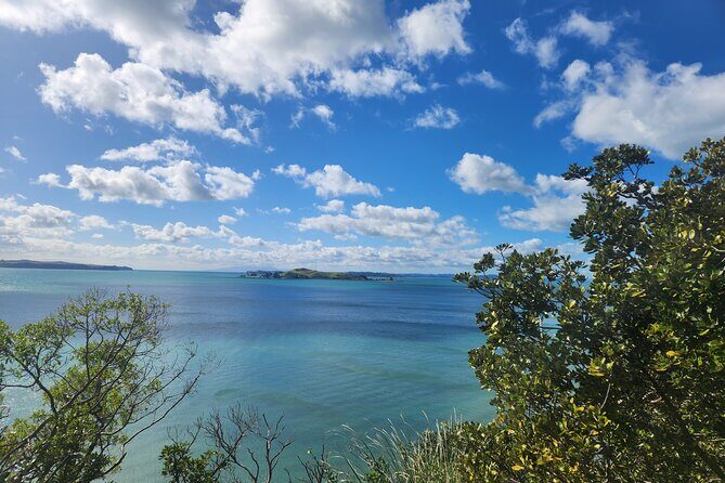 Private Auckland best Spots + Piha beach and rainforest day Tour - Mission Bay lunch time: pick your meal with water views