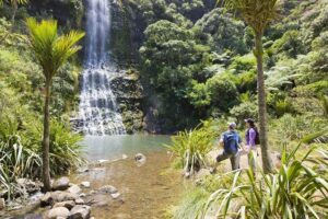 Private Auckland Luxury Tour - Titirangi and the gateway to the Waitākere Ranges