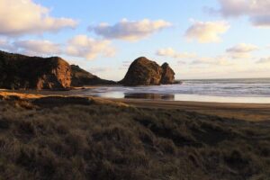 Private Auckland's West Coast - Piha/ Muriwai - Wild West Tour - Arataki Visitor Centre in Waitākere Ranges: start with context, not just photos