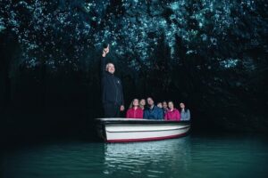 Private Hobbiton & Waitomo Caves Transfer from Auckland - Pickup, luxury car transfer, and the Hamilton supercharger pause