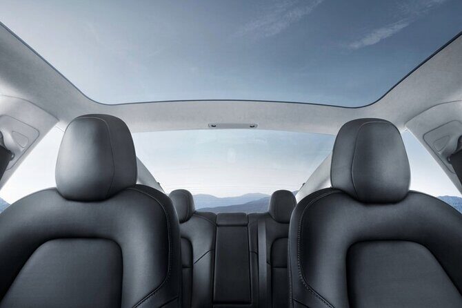 Private Tesla Transfer: Auckland, Tauranga, Rotorua, Taupo - Why this Tesla transfer feels worth it from the start