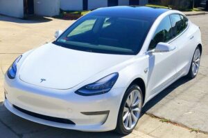 Private Tesla Transfer: Auckland, Tauranga, Rotorua, Taupo - The car and the driver: what to expect during the ride