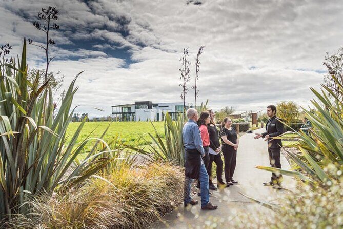 Private tour from Auckland - Waitomo Glowworm Caves, Zealong Tea & Kiwi Bird - Key things that make this tour work well