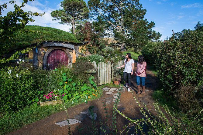 Private Tour - Hobbiton Movie Set & Te Puia (Rotorua) - The Auckland drive: comfort for an all-day outing