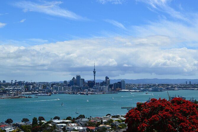 Private Transfer From Auckland International Airport To Auckland City - Small details that matter on an arrival day