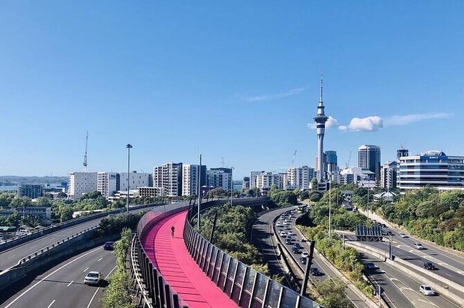 Private Transfer From Cruise Ship To Auckland Airport - Timing, Congestion, and the One Risk Worth Planning For
