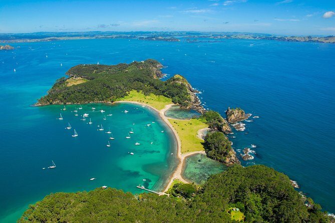 Redwood Forest , Blue Springs & Huka Falls Day Tour from Auckland - Price and value: what $372.34 covers (and what it doesn’t)