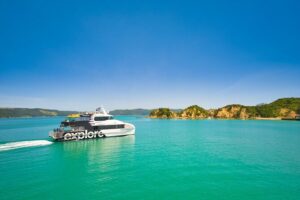 Rotoroa Island Ferry - from Auckland - Wildlife spotting without the stress: kiwi, takahē, tīeke