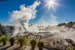 Rotorua Highlights Tour inc. Te Puia Tour, Lunch & Cultural Show - Waikato countryside detour and the Tirau corrugated-iron stop