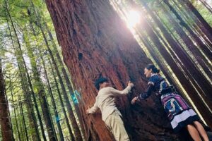Rotorua Private tour with Hotspring - Lake Rotorua and Government Gardens: geothermal basics in two stops
