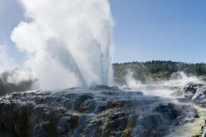 Rotorua Small-Group Day Tour from Auckland - Price and What You Actually Get for $253.81