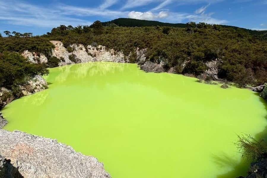 Rotorua & Taupo DayTour Waiotapu & Huka Falls from Auckland - Lady Knox Geyser: The Short Stop That Adds Big Wow