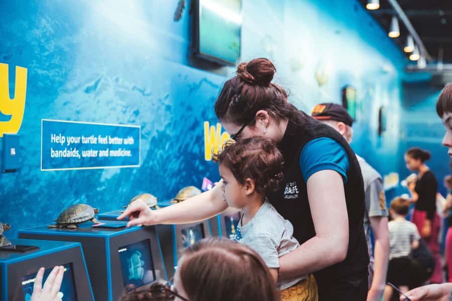 Sea Life Kelly Tarlton's Aquarium General Admission - Price and value: is $23 per person worth it?