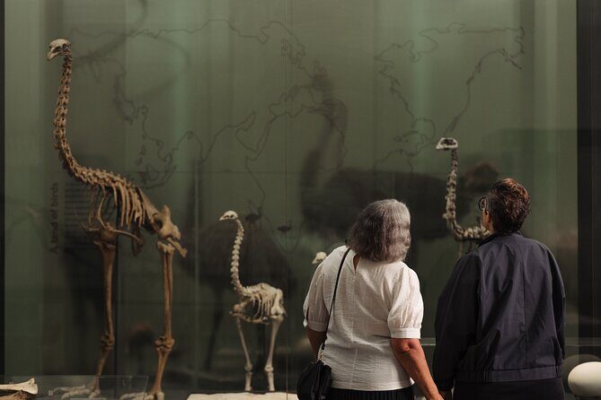 Skip the Line: Auckland Museum General Admission Ticket - How to spend 3–4 hours without rushing
