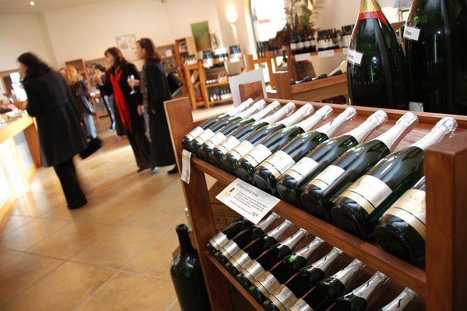 Small-Group Kumeu Wine Country Tour with Wine Tastings & Lunch - Kumeu Wine Country From Auckland: The Easy, Half-Day Escape