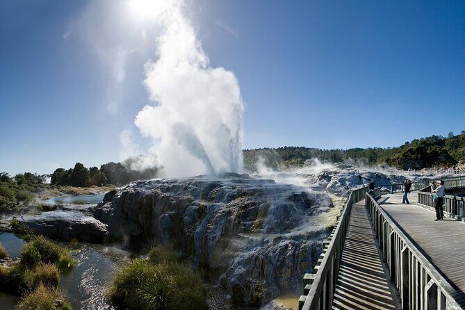 Small Group Waitomo and Rotorua including Te Puia Tour - Why This Waitomo and Te Puia Day Tour Works