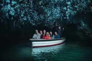 Small Group Waitomo and Rotorua including Te Puia Tour - Waitomo Glowworm Caves: What You Actually Experience