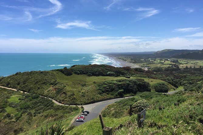 Vineyards Honey and Black Sand Beaches from Auckland - How the Day Feels: Small Group Pace and John McFarlane’s Host Style