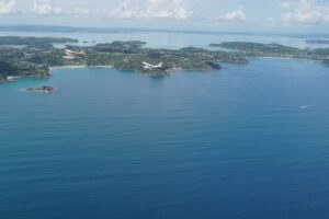 Waiheke Island - Fly and Dine (from North Shore Airport) - Landing at Waiheke Wings: lunch with a view you can actually feel