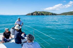 Waiheke Island: Gulf Marine Park Sailing Adventure & Lunch - Matiatia Wharf meeting: how the day starts smoothly