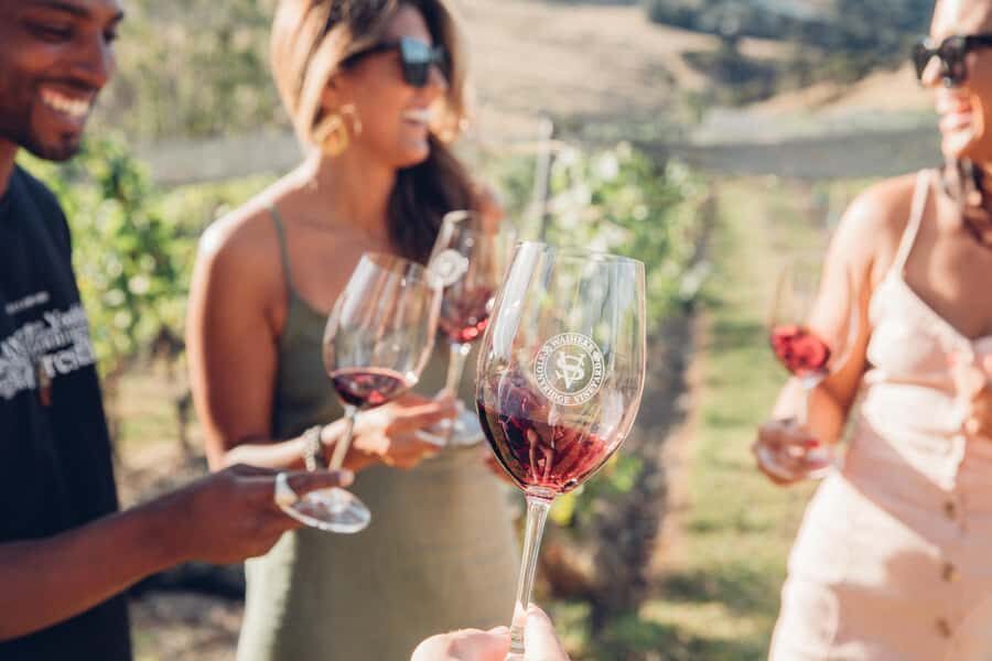 Waiheke Island: Scenic Island Wine Tour & Local Wine Tasting - Choosing between the 5-hour bus route and the 4-hour double-decker day