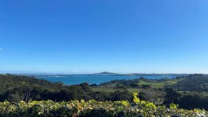 Waiheke Island: The Essence of Waiheke Wine Tour - Getting There Fast: Matiatia Wharf and the 10:00 Ferry Plan