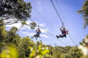 Waiheke Island: Zipline and Native Forest Adventure Trip - Getting to EcoZip: Matiatia meeting and the Waiheke timing reality