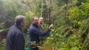 Waitakere Ranges Wilderness Experience Tour from Auckland - Waitakere lookouts and Maori carvings: why the first views matter