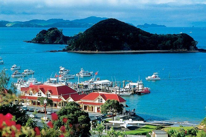 Waitangi Treaty Ground Day Trip Private Transport From Auckland - Key points that matter before you go
