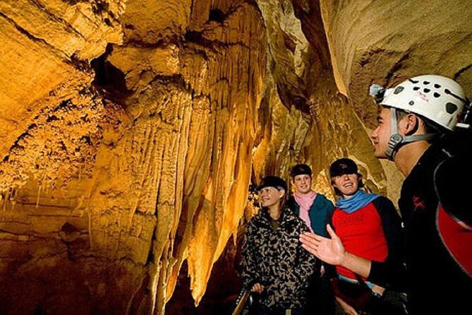 Waitomo Caves Private Driver for Tour - Auckland-to-Waitomo Drive: Comfortable, Door-to-Door Time