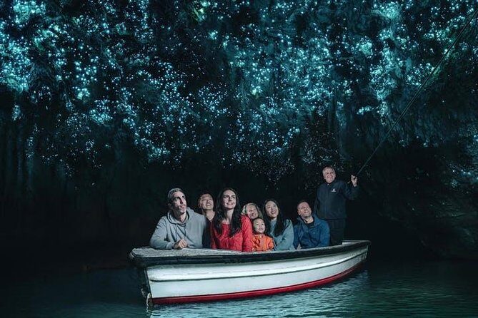 Waitomo Caves Private Tour from Auckland - Key highlights worth knowing before you go