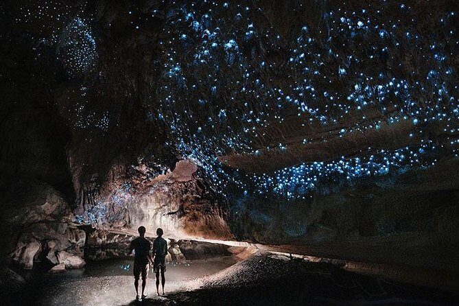 Waitomo Caves Private Tour from Auckland - Boat ride on the flat-bottom Waitomo River: the magic part
