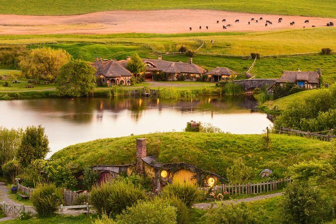 Waitomo Caves Private Tour from Auckland - Guide storytelling and the Arachnocampa luminosa science lesson
