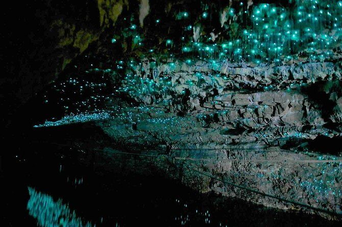 Waitomo Caves Private Tour from Auckland - Weather and day-of access: the one thing you can’t fully control
