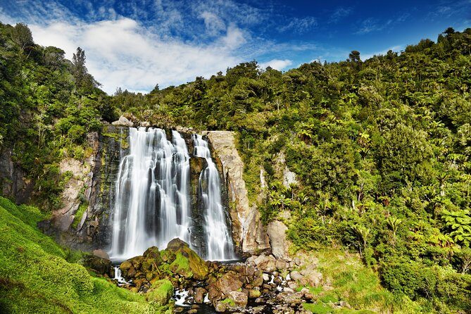 Waitomo Caves Private Tour from Auckland - Who this private Waitomo tour suits best